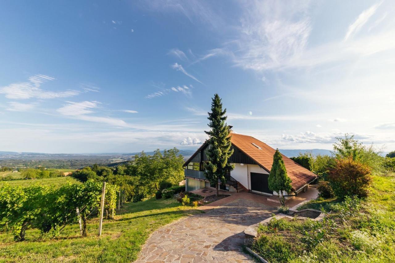 Cosy Hill Home Rucman With A Breathtaking View Zgornja Pohanca Dış mekan fotoğraf